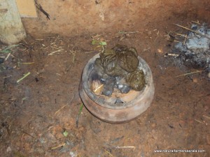 add fresh dung top of burning husk add fresh dung on top of burning coconut husk