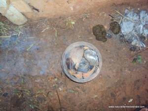 add husk and dried dung dried cow dung and burning coconut husk