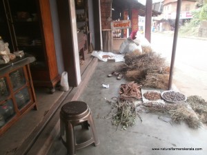 Medicine herbs in a ayurvedic shop in kerala