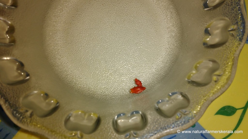 Soak seeds in hot water