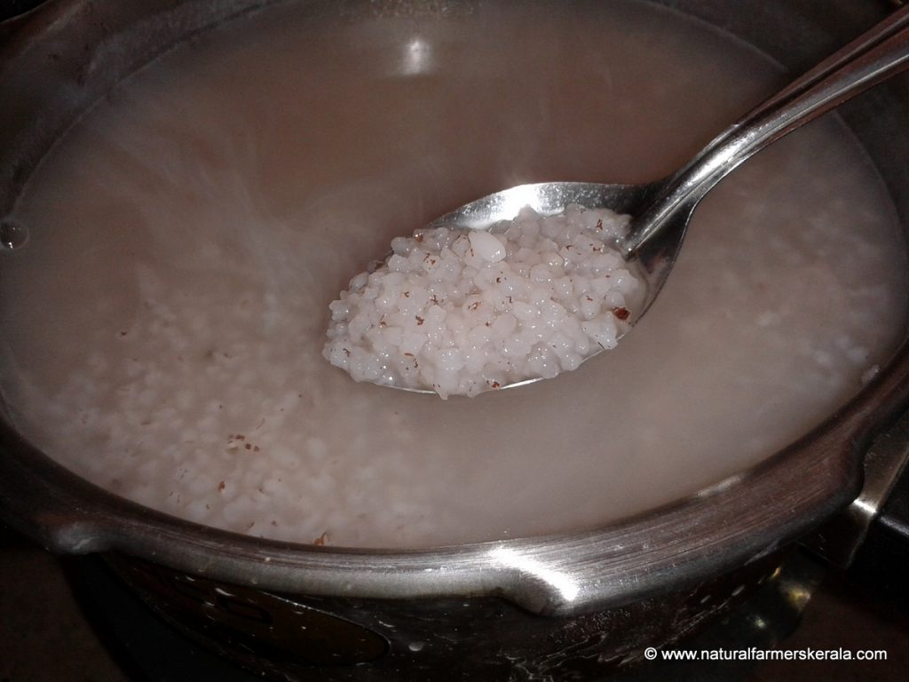 Medicinal Porridge (Karkada Kanji)