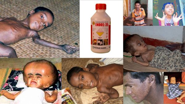 Victims of endosulfan kasargod