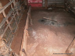 cow shed mud floor