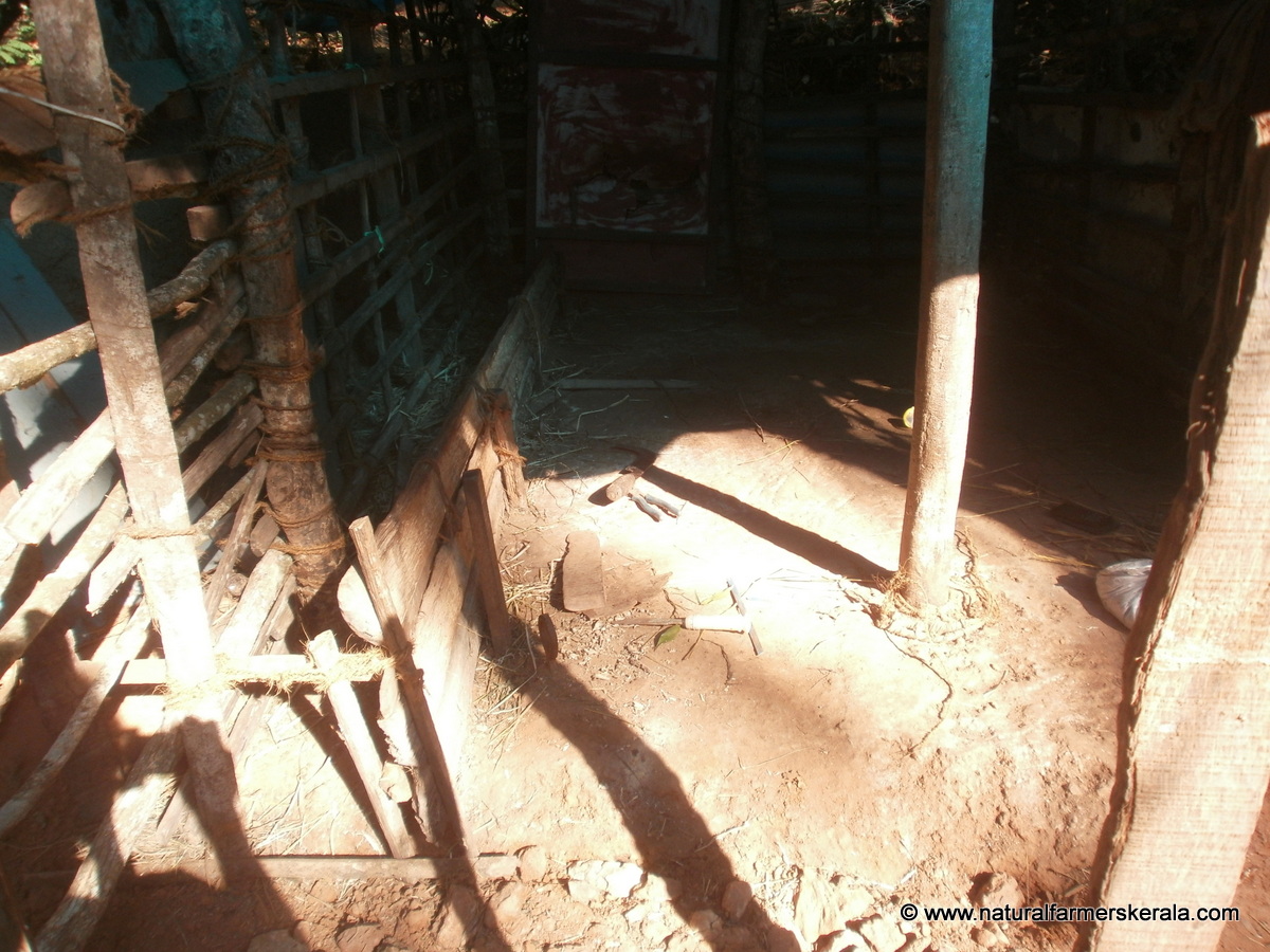 how to build a cow shed with natural materials - natural